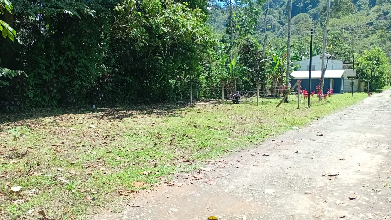 Lote 07 - Hone Creek