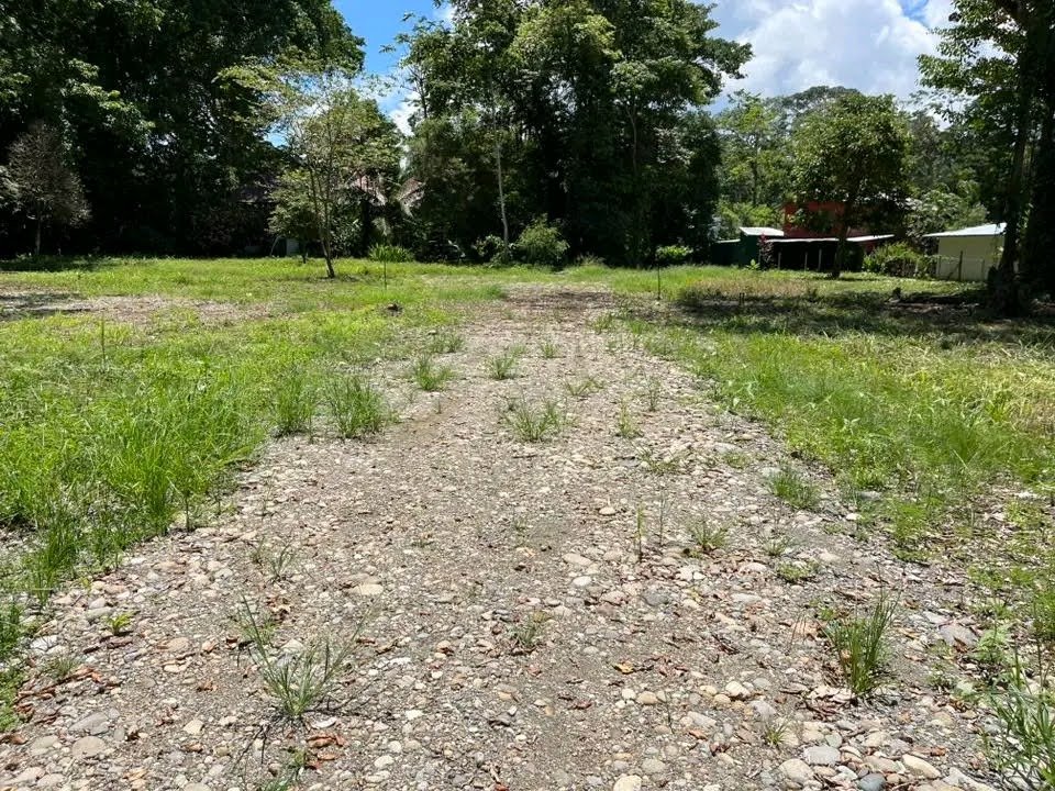 Lote 24 - Hone Creek
