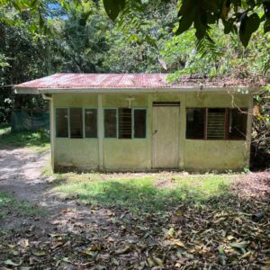 lote 3