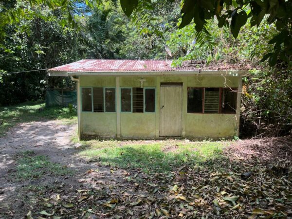 lote 3