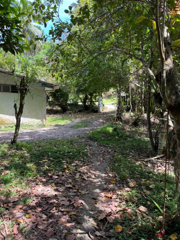 lote 3