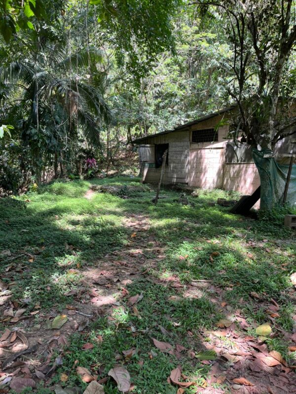 lote 3