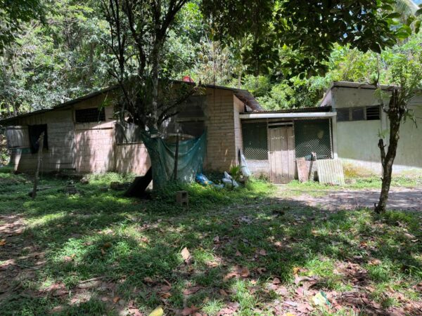 lote 3