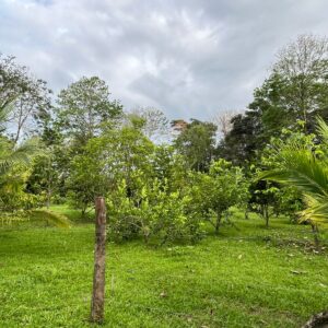 Puerto Viejo