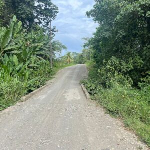 Home Punta Uva